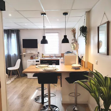 Appartement Le Petit Choletais *