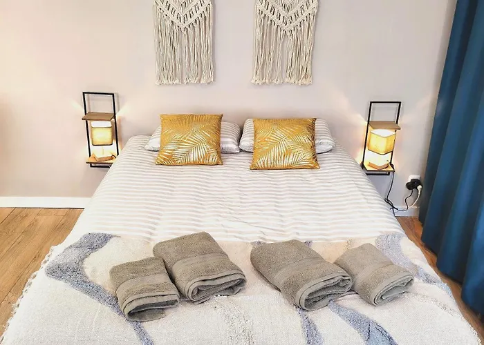 Le Petit Choletais 公寓 绍莱