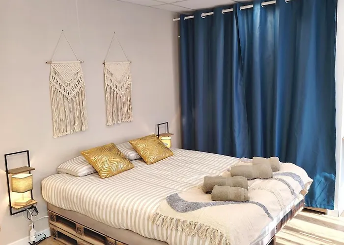 公寓 Le Petit Choletais *