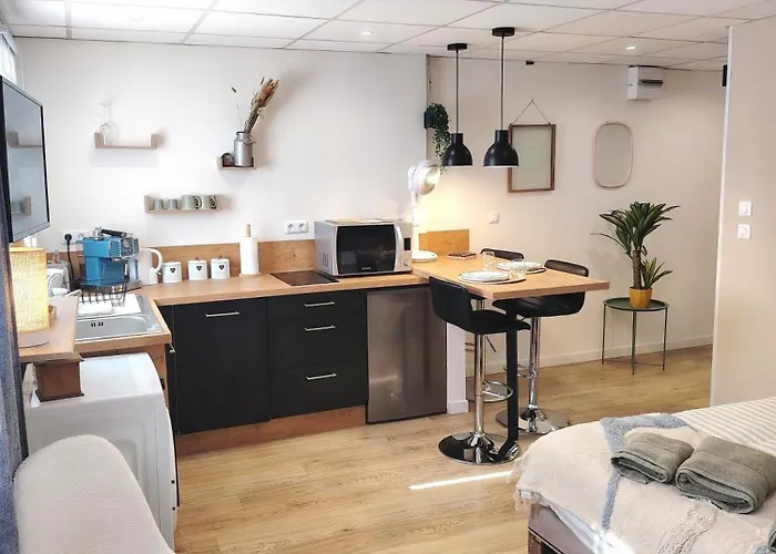 公寓 Le Petit Choletais 绍莱