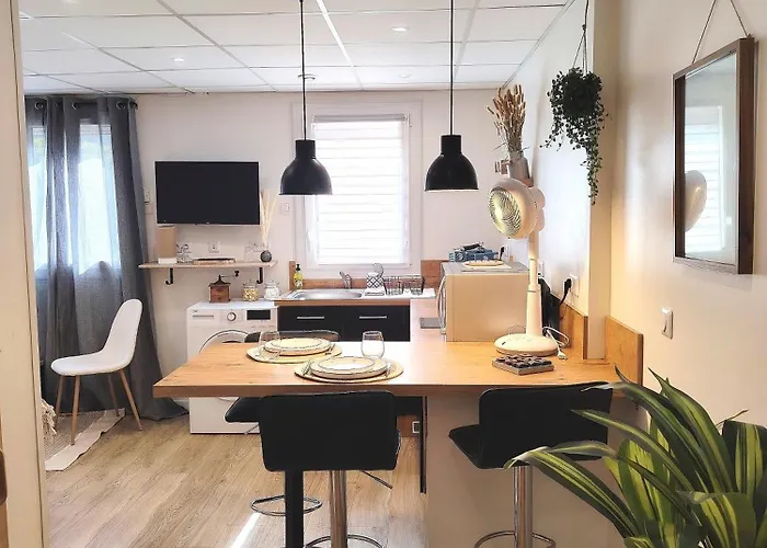 公寓 Le Petit Choletais *