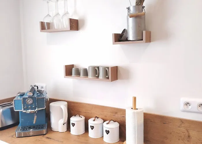 Le Petit Choletais 公寓 绍莱