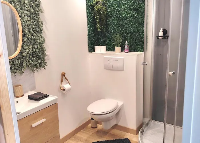 Le Petit Choletais * 绍莱