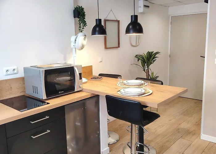 公寓 Le Petit Choletais *